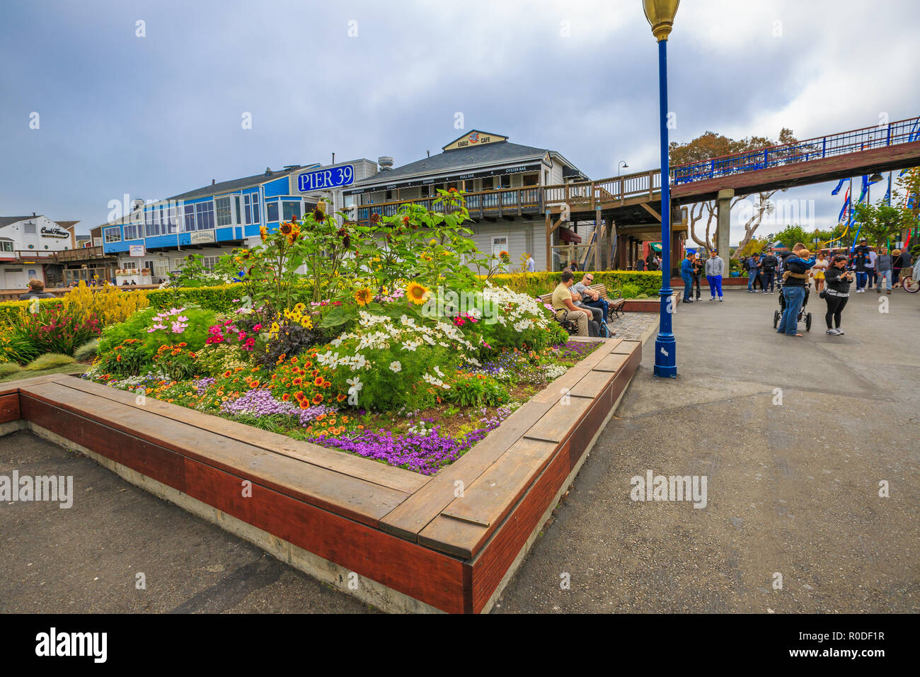 San Francisco, Californie, États-Unis - 14 août 2016 : : jardin et fleurs de Fisherman's Wharf au quai 39 le long de l'Embarcadero. La ville de San Francisco. Banque D'Images