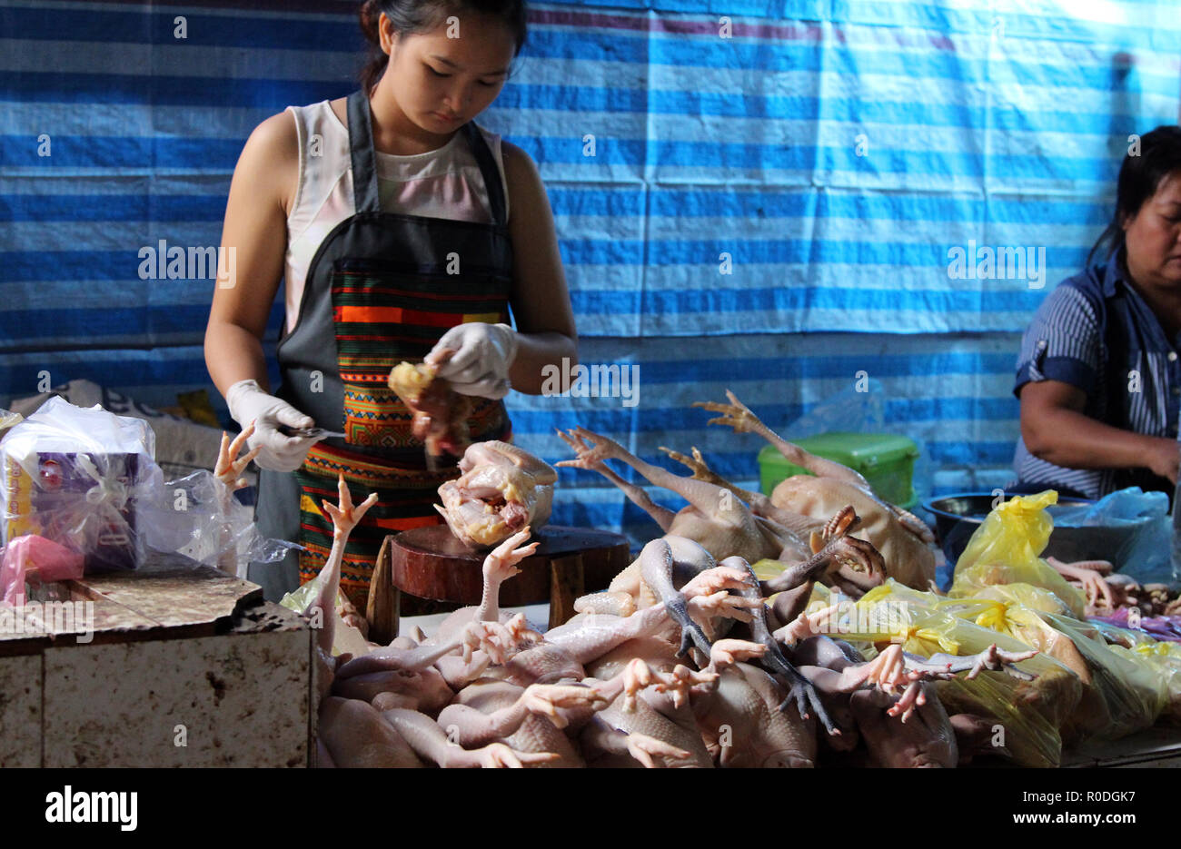 Poulets plumés en vente au marché Phosi à Luang Prabang, Laos Banque D'Images