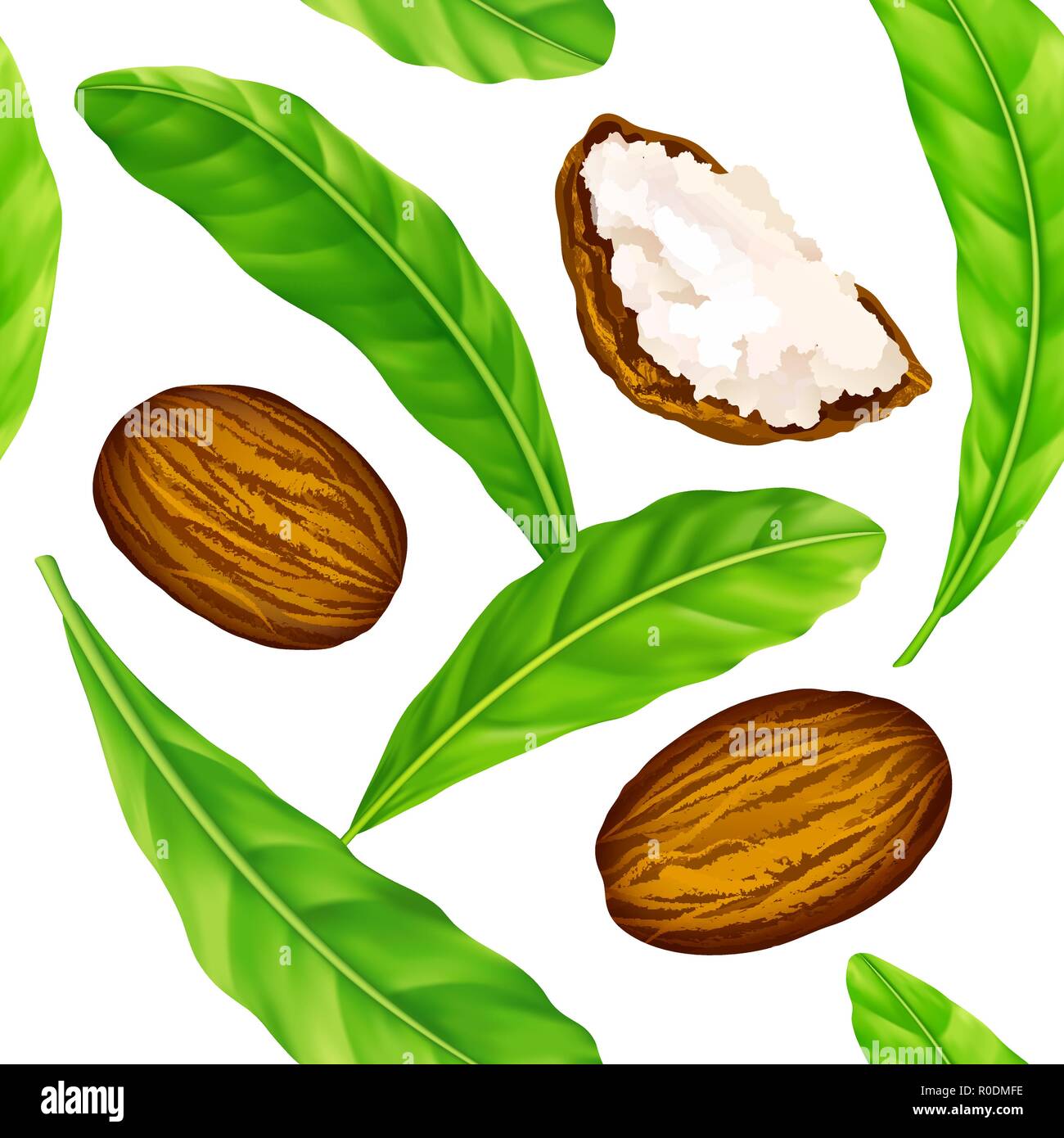 Les noix de karité avec des feuilles dans le vector pattern. Illustration de Vecteur Les noix de karité avec des feuilles dans le vector pattern. Illustration de Vecteur