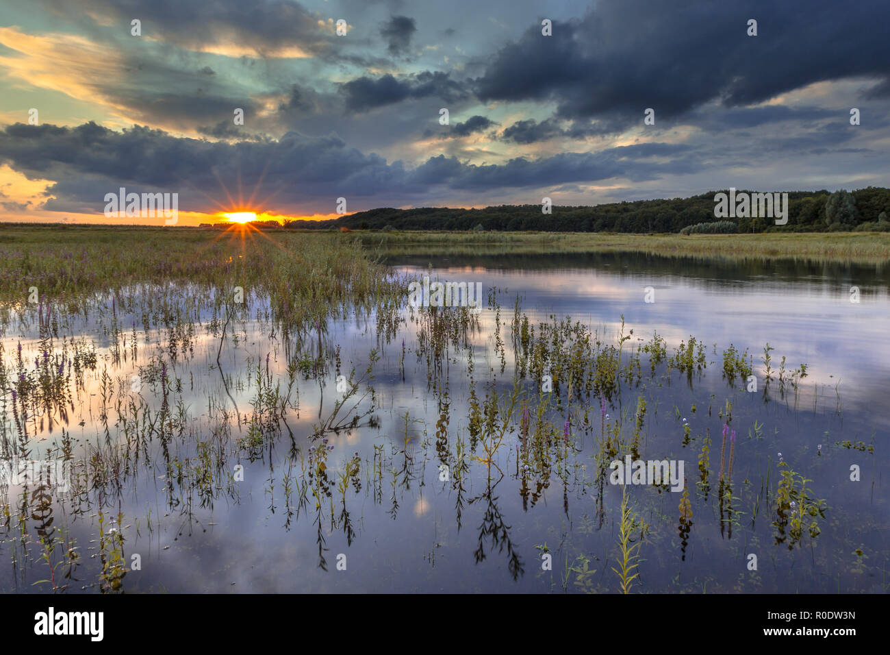 Paysage d'avant-pays de la rivière sombre avec de gros nuages dans les marais du Rhin près de Arnhem, Pays-Bas, la Betuwe Banque D'Images