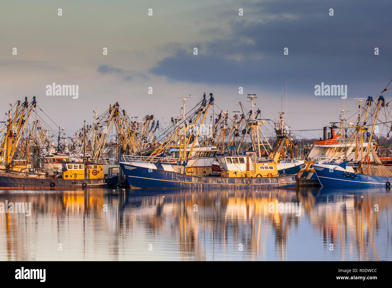 Stockholm abrite l'un des plus grandes flottes de pêche des Pays-Bas. La pêche se concentre essentiellement sur la capture de moules, huîtres, crevettes et Banque D'Images