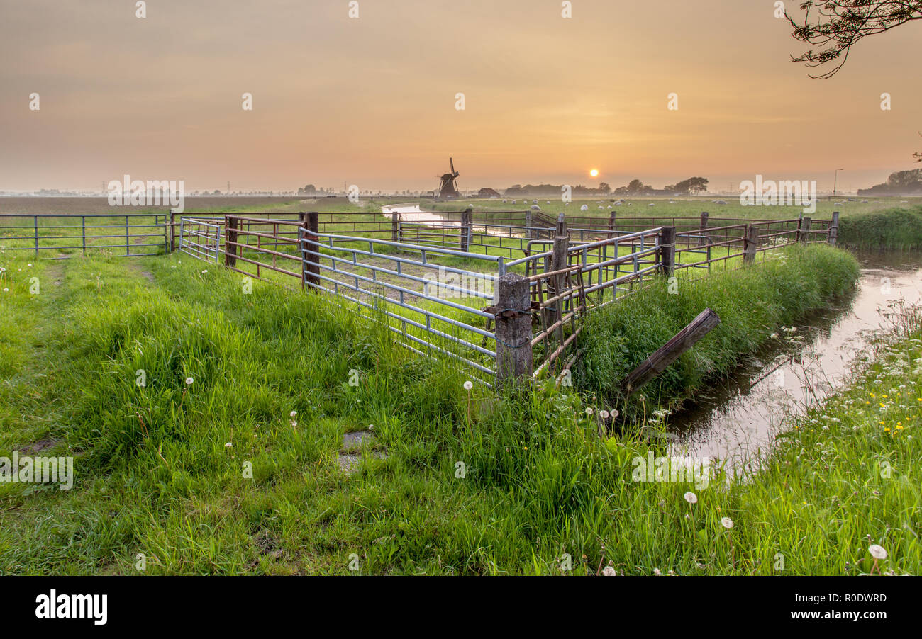 Paysage hollandais avec moulin et clôtures pendant le coucher du soleil, Groningen, Pays-Bas Banque D'Images
