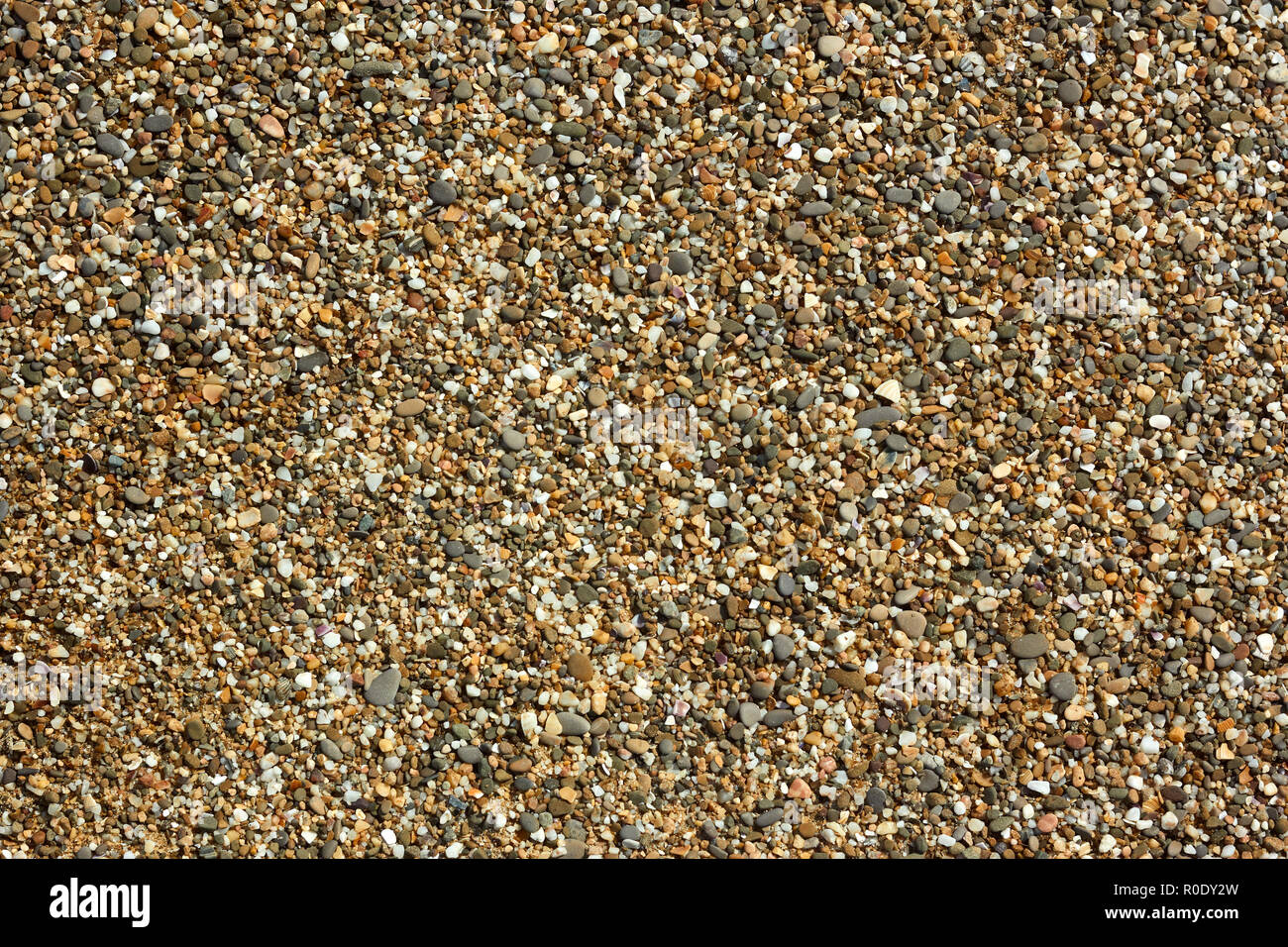 Fragment de galets de plage avec de petits cailloux de couleur, de pierres et de coquillages détail close-up en plein soleil Banque D'Images