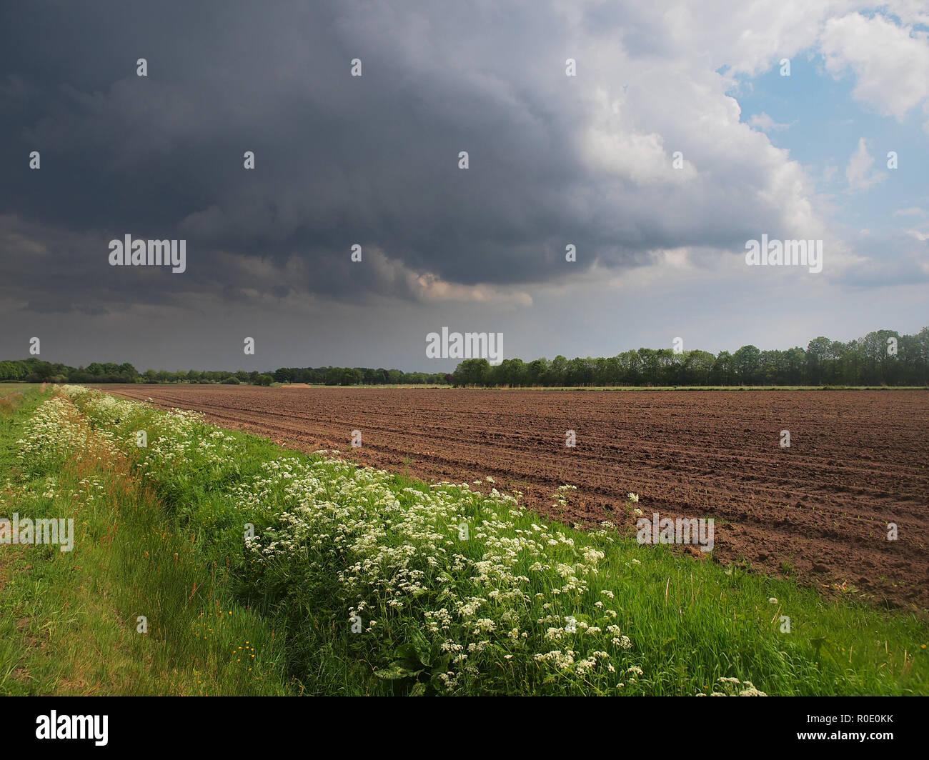Une sombre ciel dramatique au-dessus de champ agricole Banque D'Images