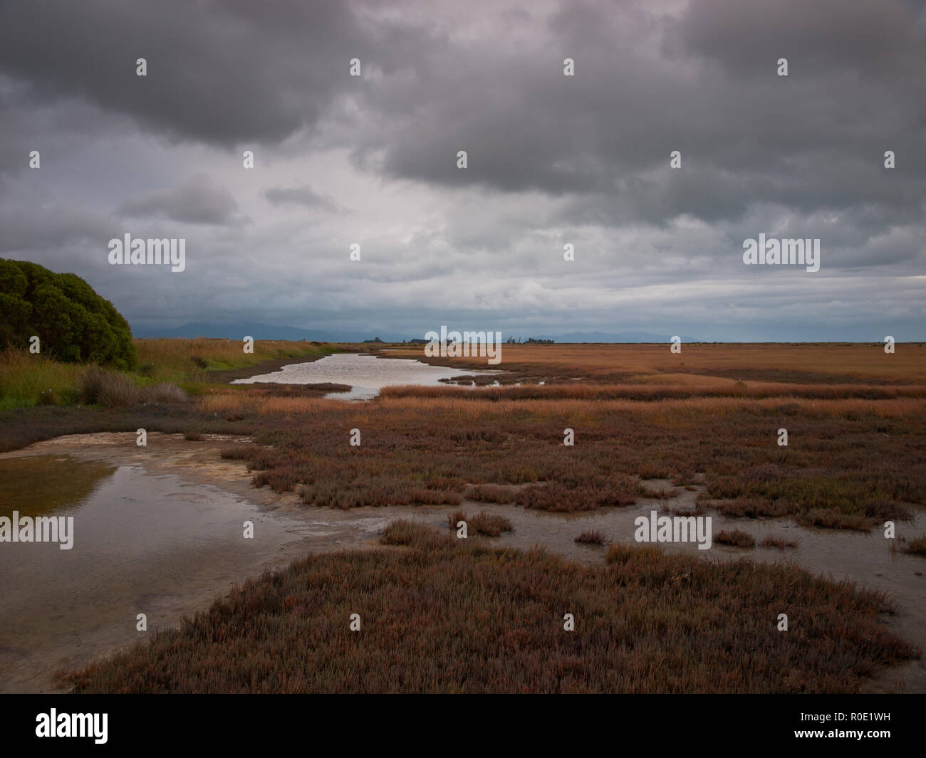 La réserve naturelle de marée cloudy bay en Nouvelle Zélande Banque D'Images