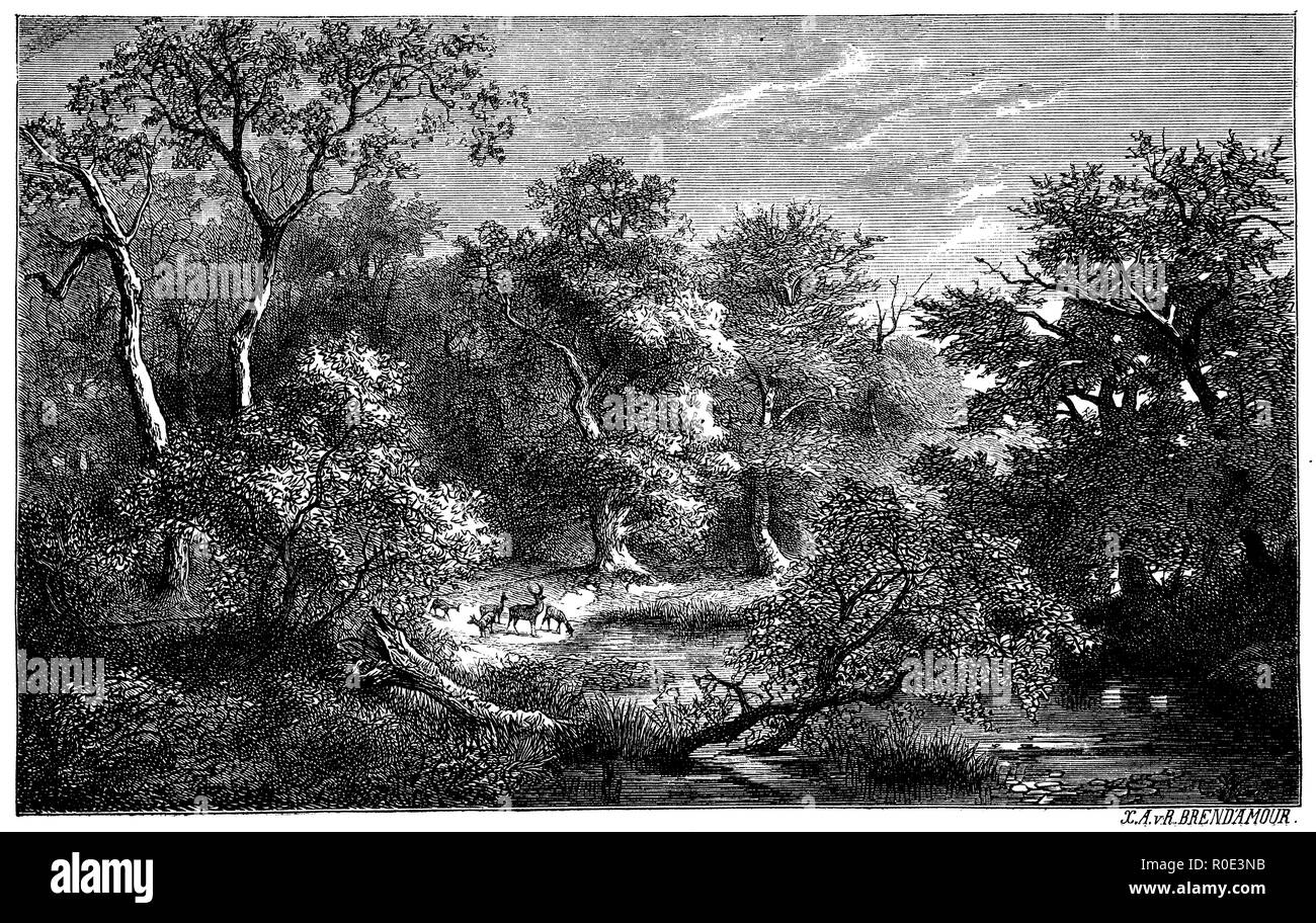 Paysage, forêt avec le Cerf, 1877 Banque D'Images