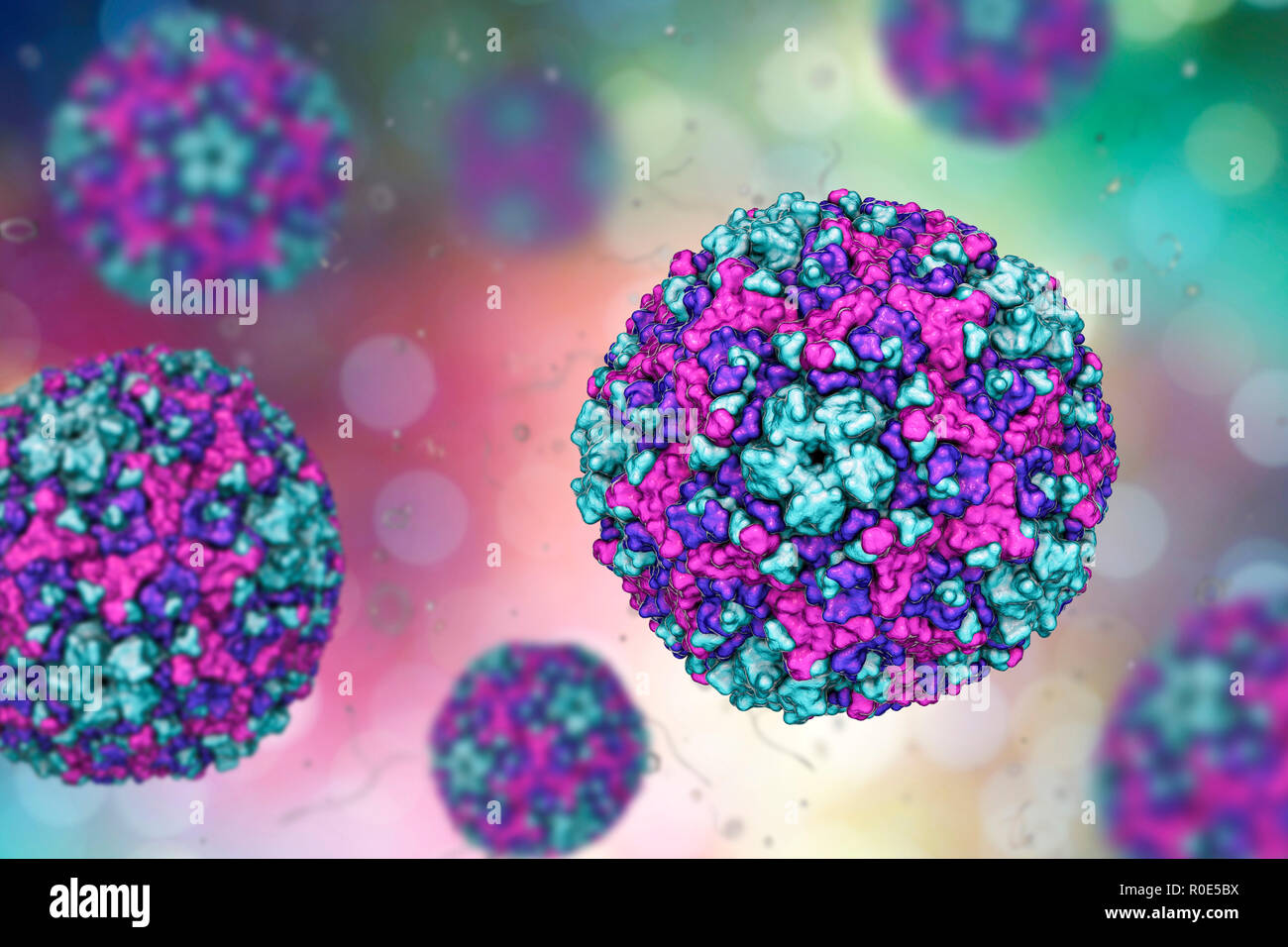 Virus Coxsackie du groupe B, illustration de l'ordinateur. Ces virus provoquent des infections du cœur (Myocardite, péricardite), la plèvre (pleurodynie, maladie de Bornholm), du pancréas (pancréatite) et du foie (hépatite). Banque D'Images