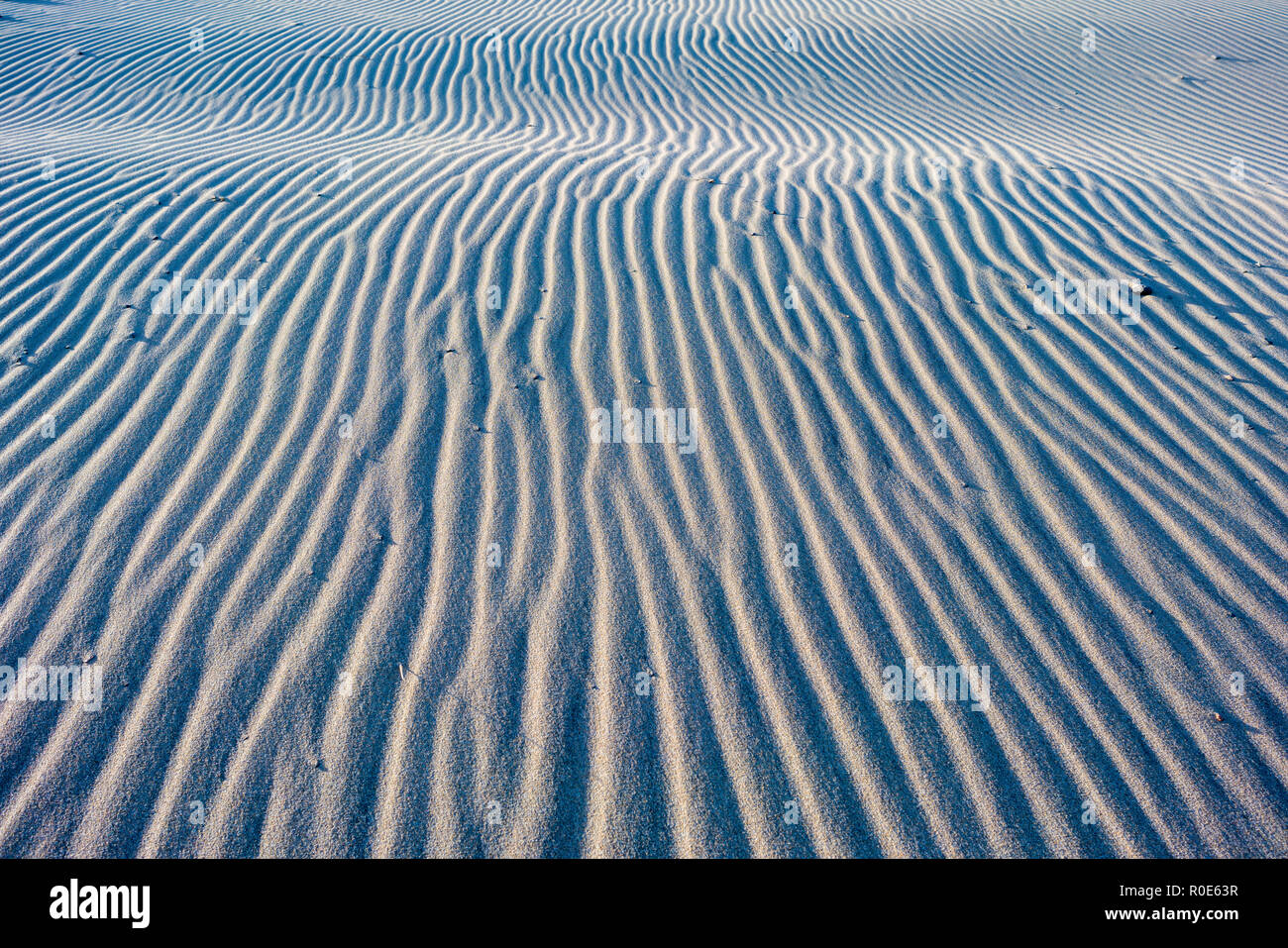 Close-up d'une dune de sable au coucher du soleil. Banque D'Images