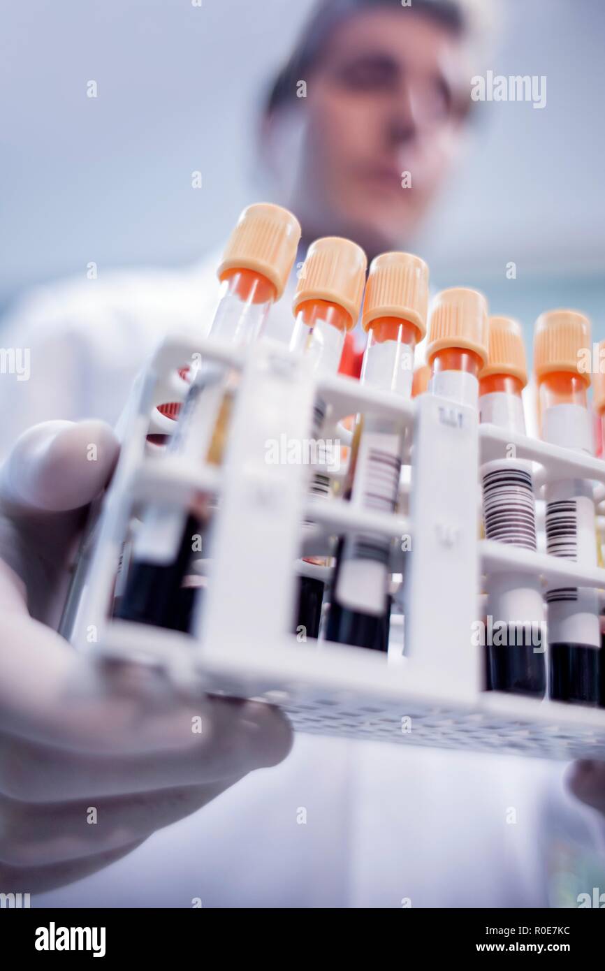 Assistant de laboratoire médical holding des échantillons en rack. Banque D'Images