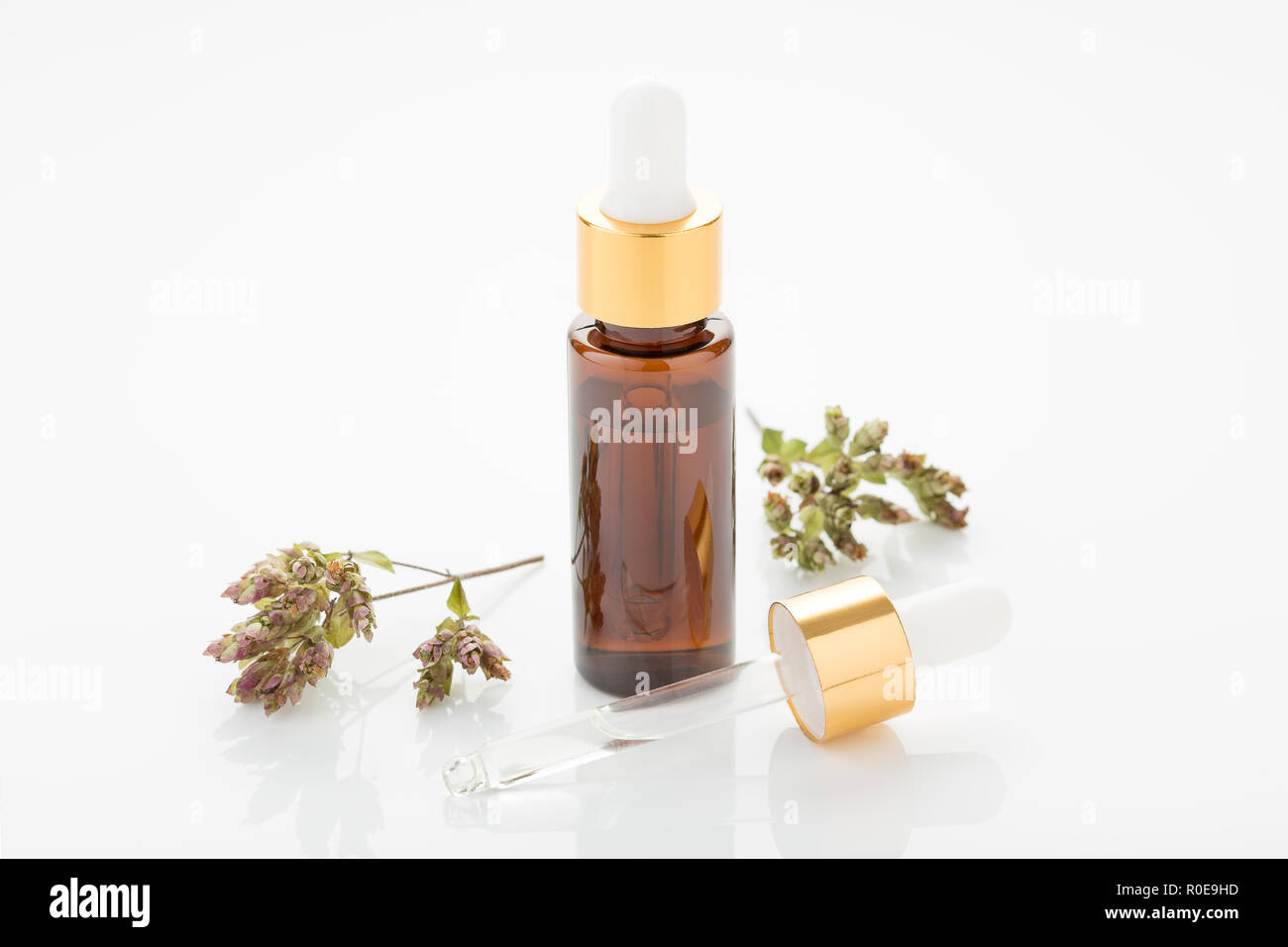 L'huile essentielle d'origan avec compte-gouttes. Origanum vulgare Banque D'Images