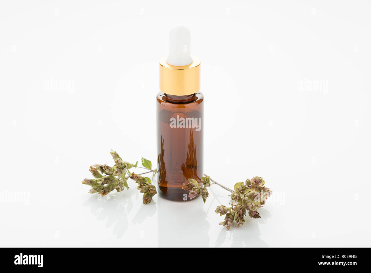 L'huile essentielle d'origan avec compte-gouttes. Origanum vulgare Banque D'Images