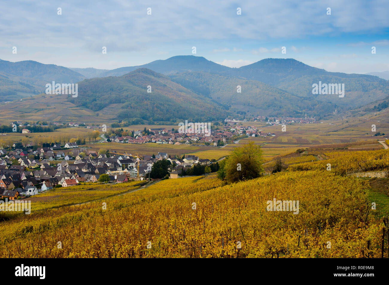 La Vallée de Kaysersberg en Alsace à la fin de l'automne ein franc Banque D'Images
