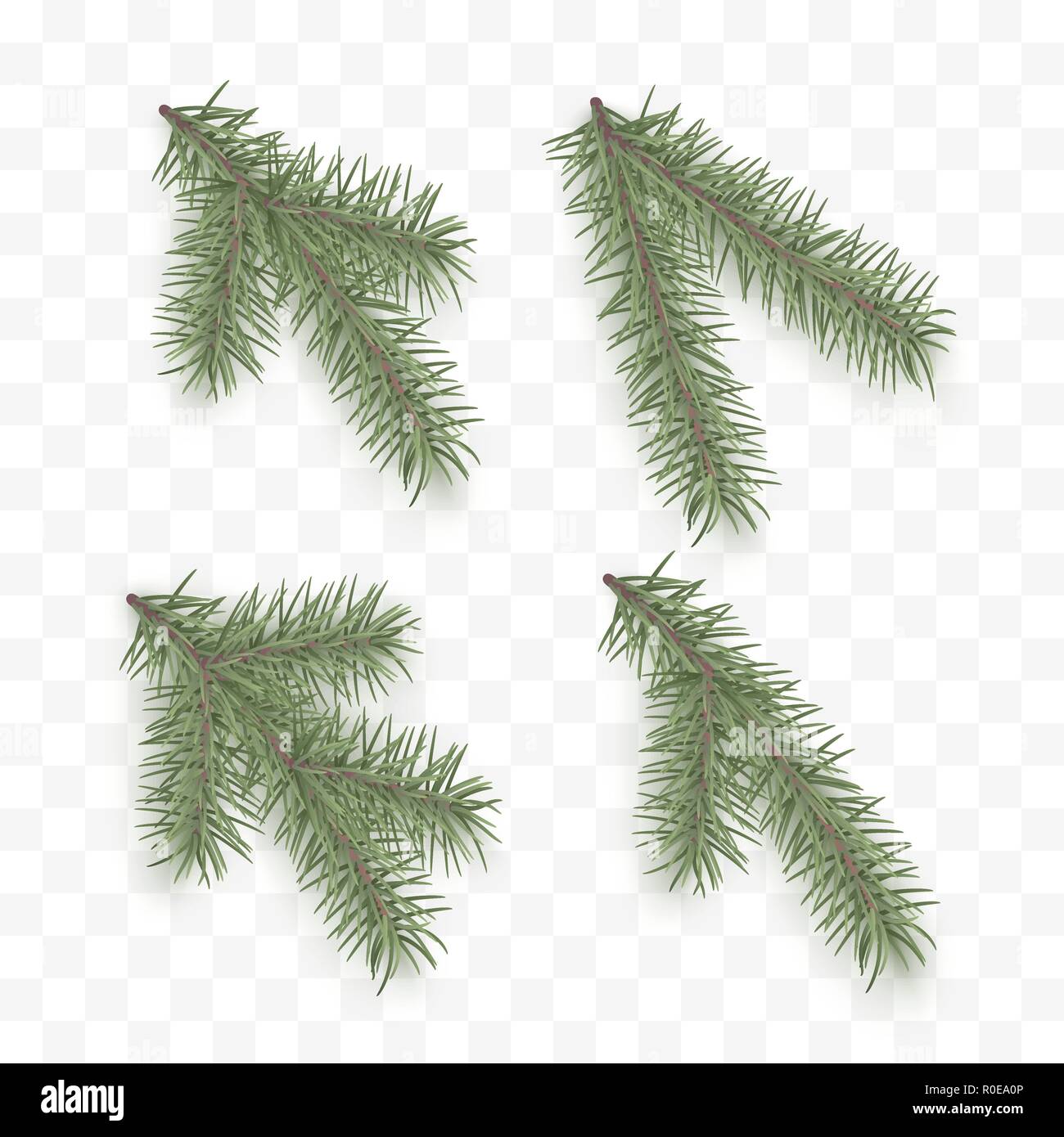 Ensemble de branches de sapin réaliste. Maison de vacances éléments ornementaux. L'arbre de Noël ou le pin. La direction générale de conifères symbole de Noël et Nouvel An isolé sur transparen Illustration de Vecteur