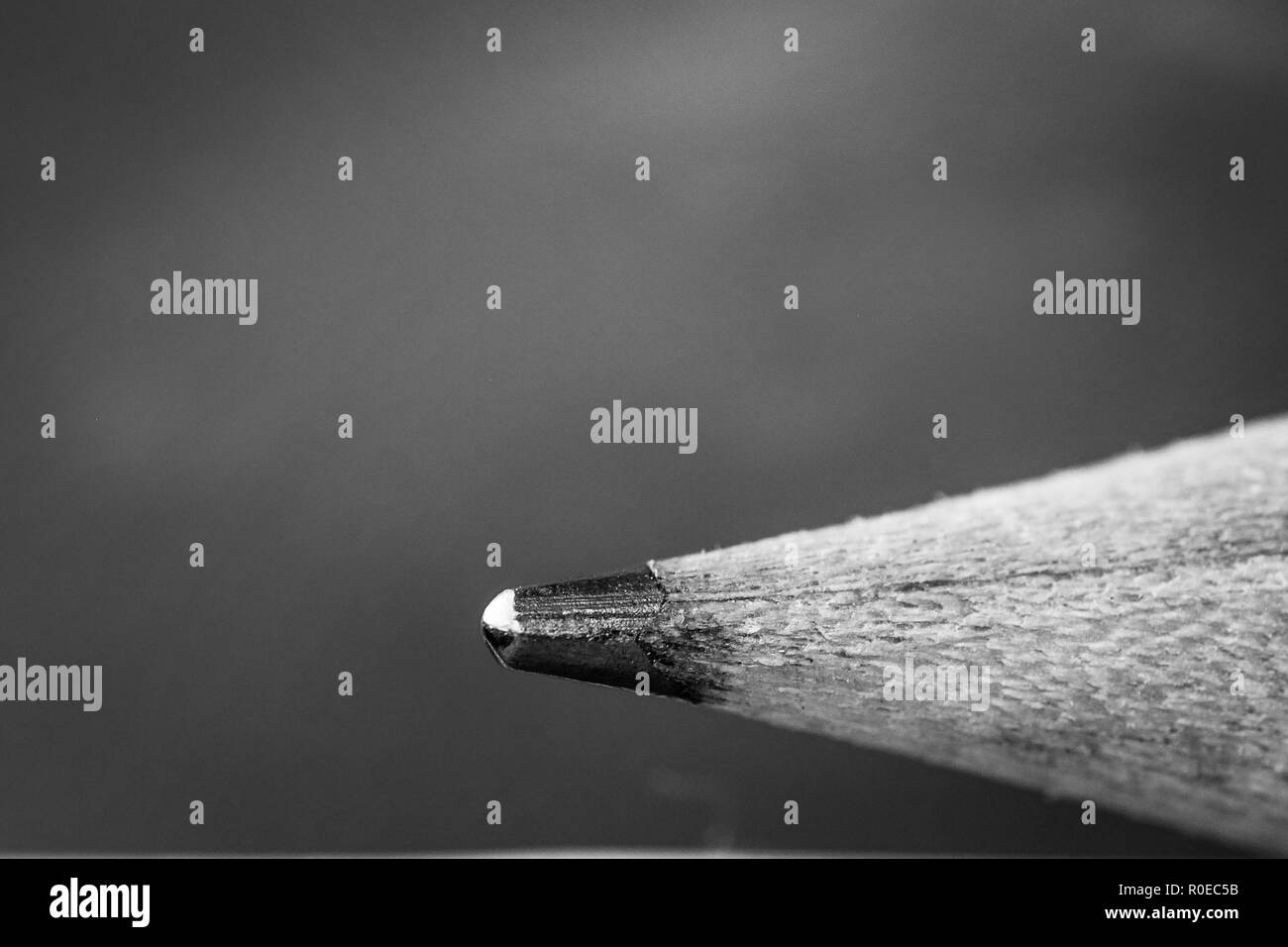 Gros plan sur un-gris crayon affûté-tip Banque D'Images
