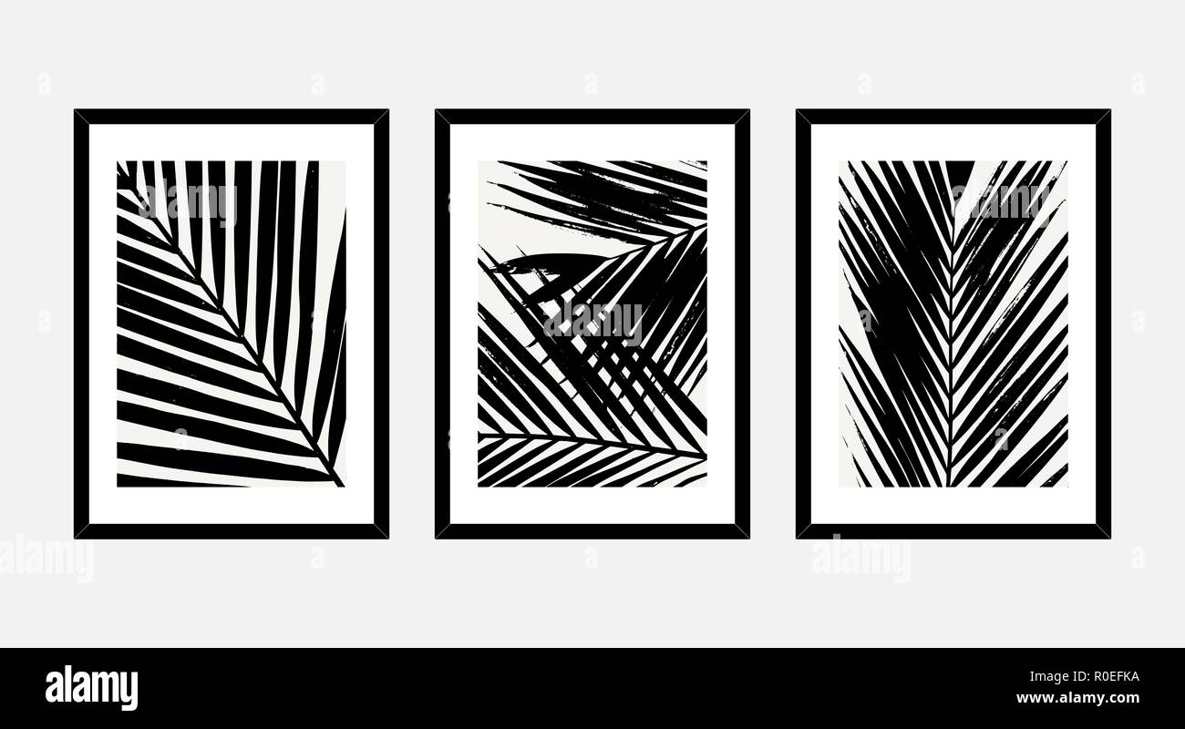 Un ensemble de trois d'art encadrée avec des feuilles de palmier en noir et blanc isolé sur fond gris clair. L'art abstrait des affiches, des cartes de souhaits imprimables Illustration de Vecteur