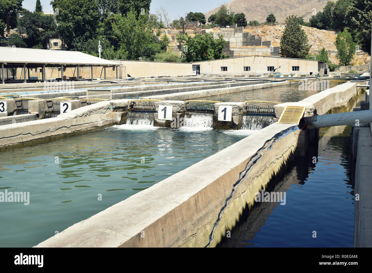 Piscines d'eau de l'aquaculture de poissons de la pêche l'agriculture à Karaj, près de Téhéran, l'Iran, l'élevage et la vente de tache rouge, truite arc-en-ciel et saumon caspienne Banque D'Images