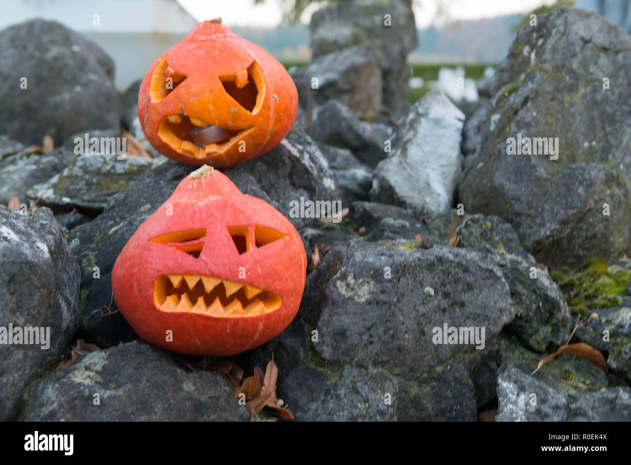 Deux pumpkings sculptés sur des rochers pour Haloween célébration Banque D'Images