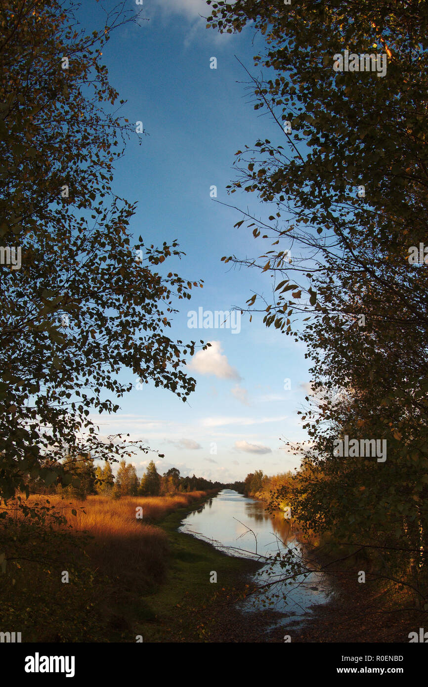 Vue sur un canal du Bargerveen moor paysage dans le nord-est des Pays-Bas. Banque D'Images