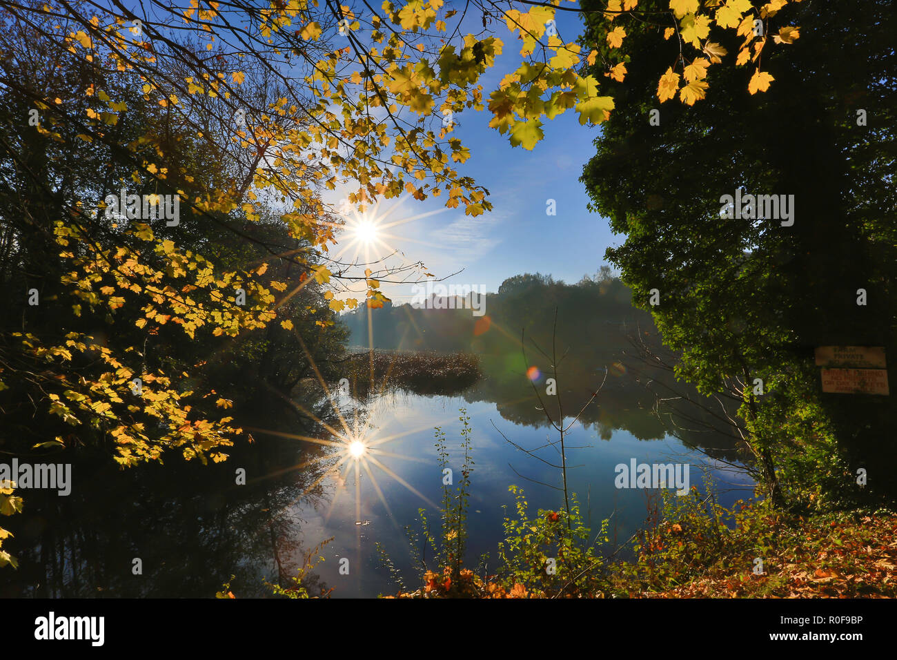 Paysage D Automne Colore Magique Au Lever Du Soleil Soleil Levant La Creation D Effet De Solarisation Dans Le Ciel Bleu Qui Se Reflete Dans L Eau Encore De La Piscine Ci Dessous La Reflexion Photo