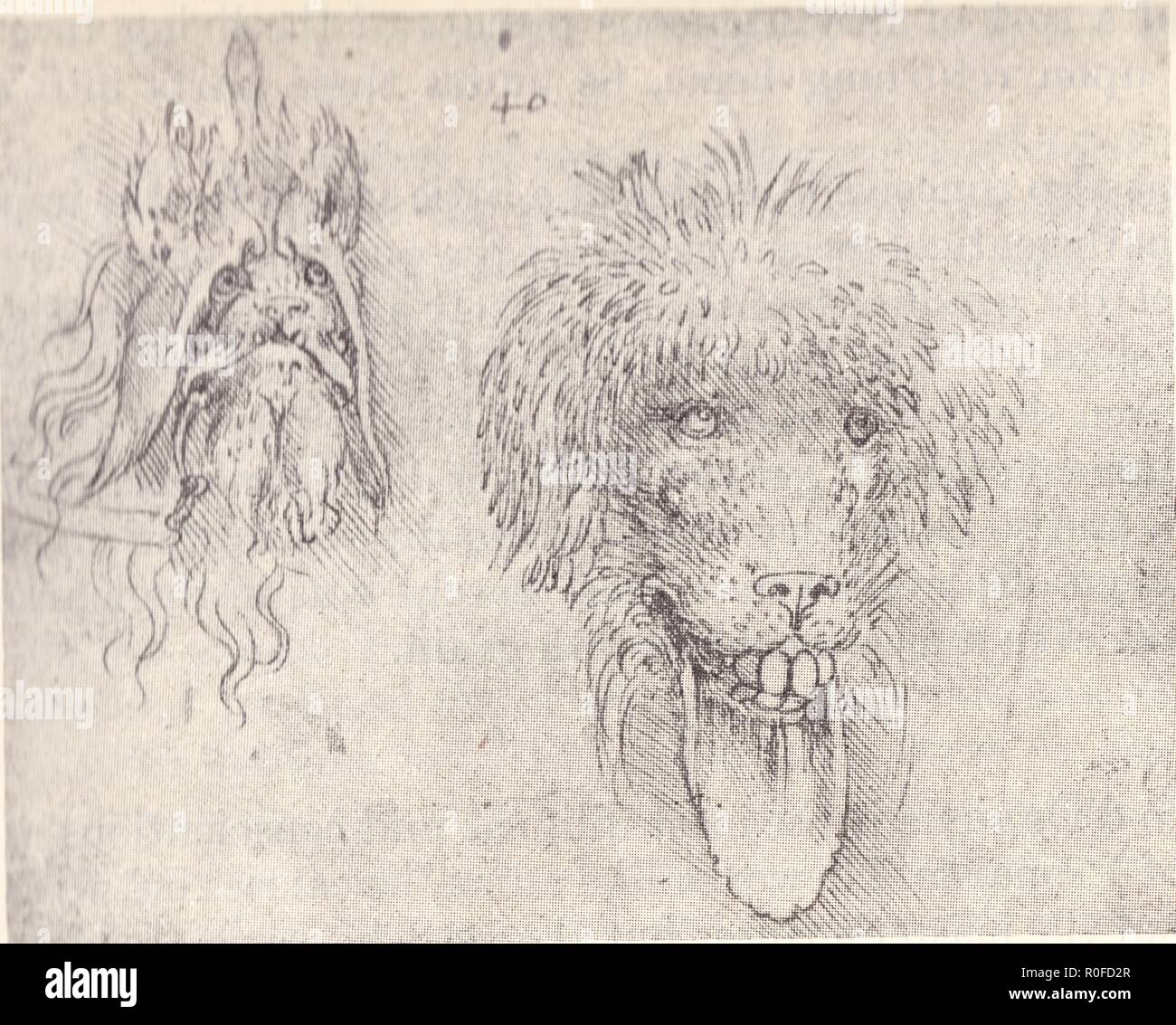 Les animaux fantastiques . LEONARDO DA VINCI Banque D'Images