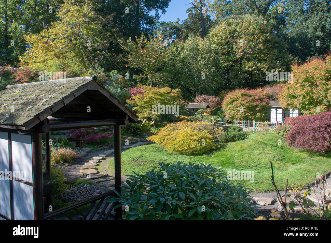 Vue sur le jardin de style japonais traditionnel en Angleterre Banque D'Images