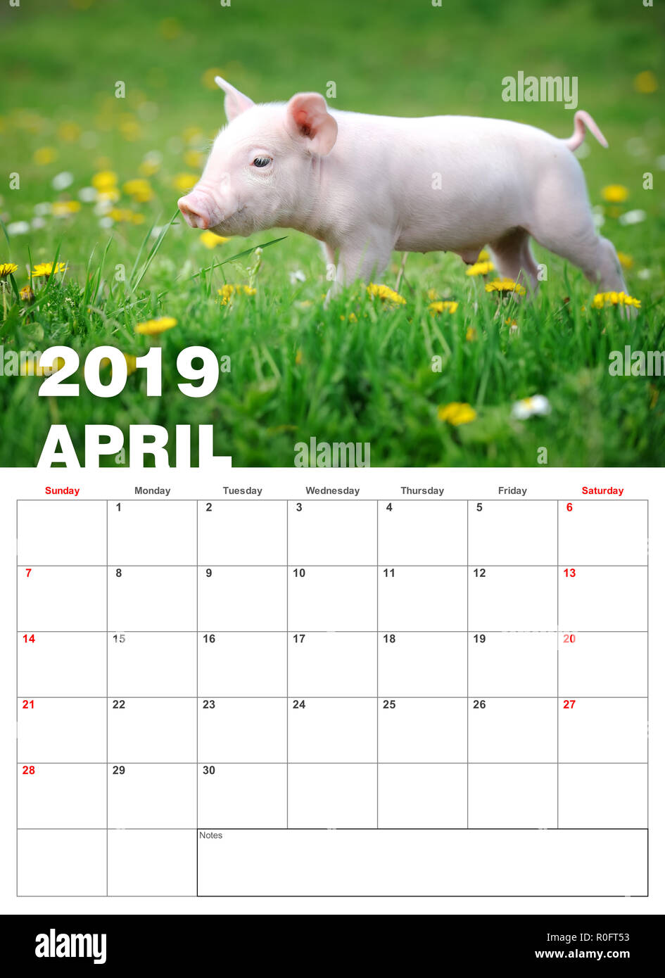 Drole Bebe Porcinet Dans Grass L Annee 19 Calendrier Photo Stock Alamy