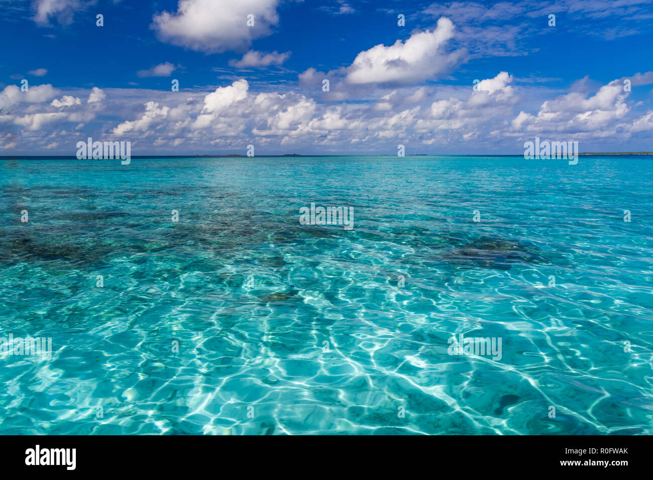 La mer tropicale sous le ciel bleu, l'eau claire, la nature paisible de l'océan. Voir l'horizon sans fin, de la mer Banque D'Images