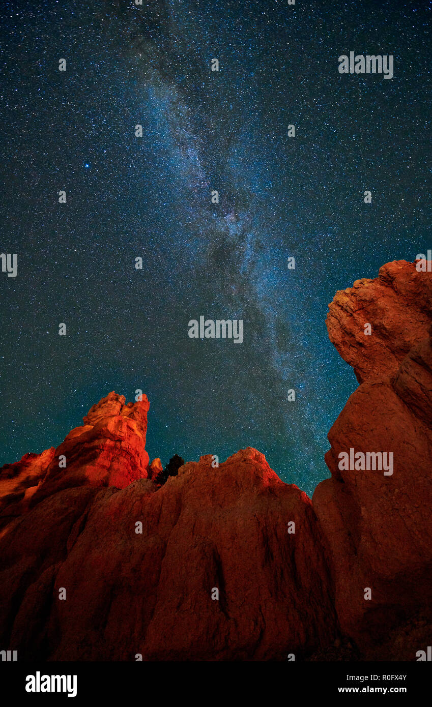 Ciel nocturne avec voie lactée au Canyon rouge dans Dixie National Forest, Utah, USA, Amérique du Nord Banque D'Images