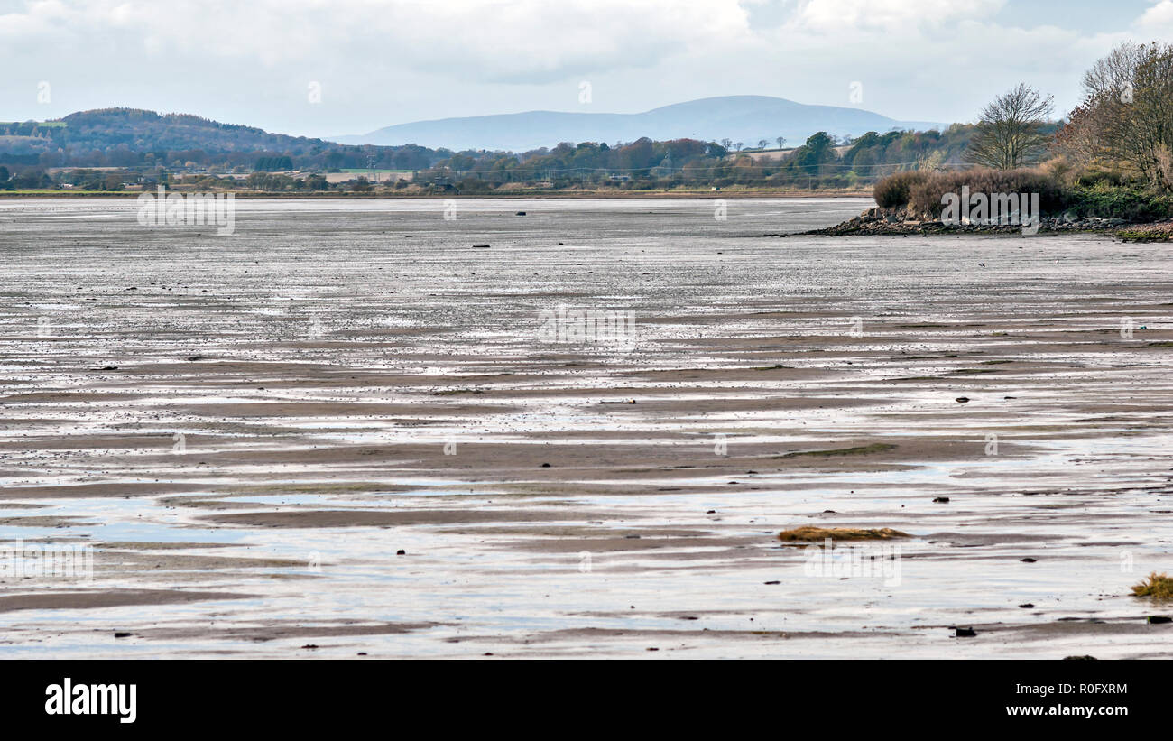 Montrose Basin et réserve naturelle, Angus, Scotland, UK, à marée basse. Banque D'Images