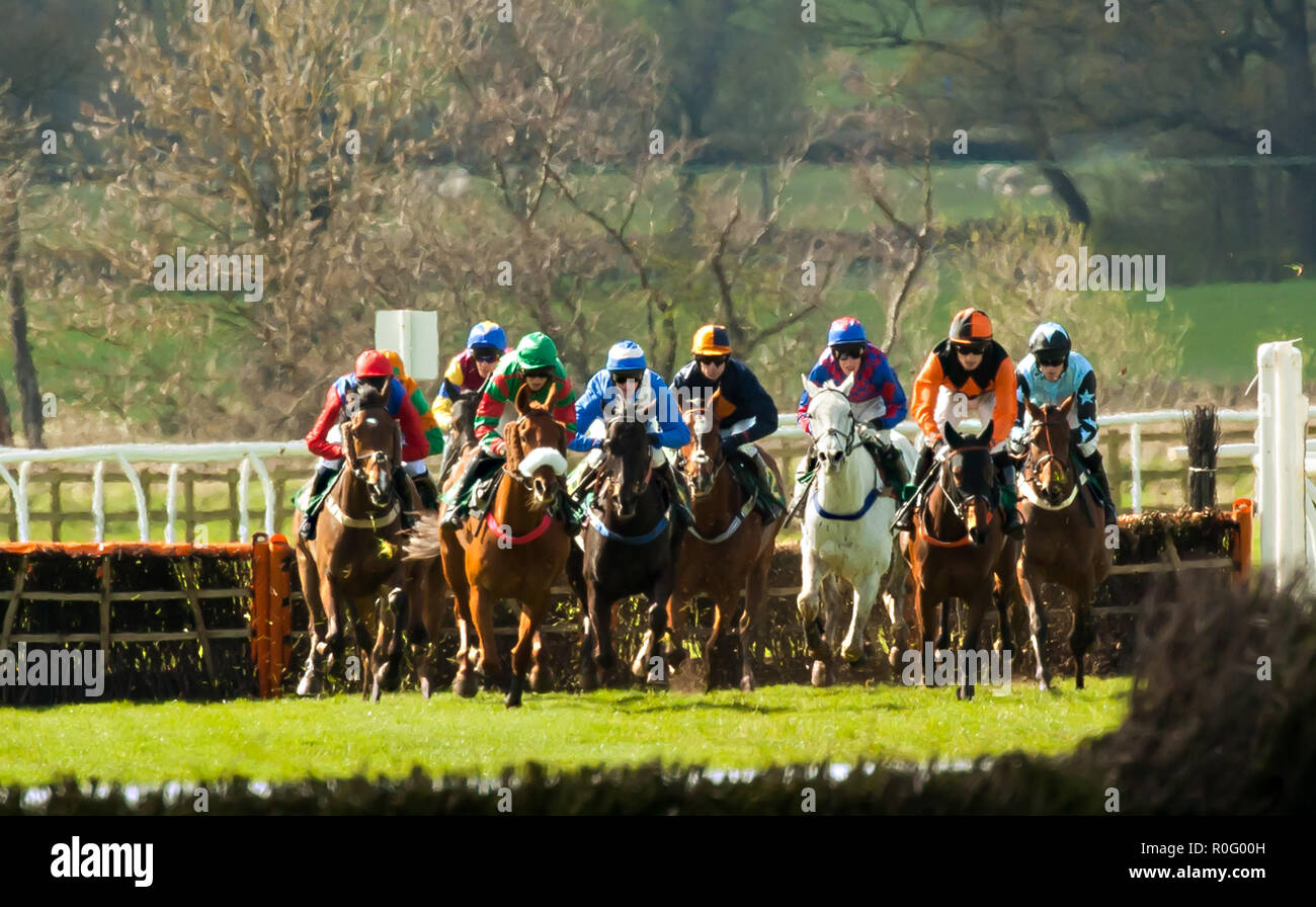 Les jockeys en compétition dans les courses de chevaux de chasse à Bangor sur Dee hippodrome sur la frontière près de Cheshire Galles Wrexham Banque D'Images