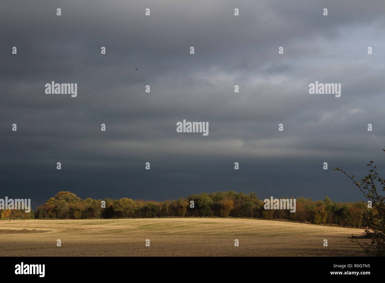 Les terres agricoles à l'automne sunbeam brille sur chaumes et bois avec de gros nuages sombres au-dessus du champ de blé. Dans le North Yorkshire UK Banque D'Images