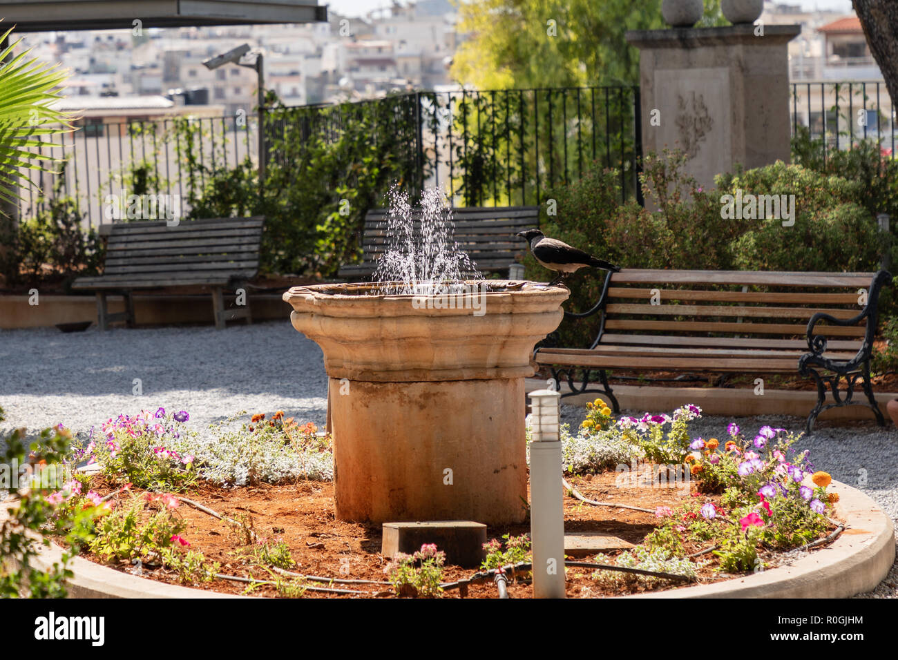 Jardins du Musée Archéologique d'Héraklion, fontaine avec un capuchon d'Héraklion, Crow Crow à capuchon Grec Banque D'Images