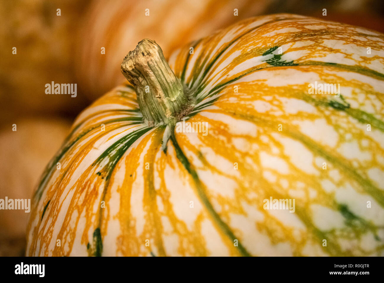 Citrouilles ornementales au nord-est de la Géorgie un marché routier. (USA) Banque D'Images