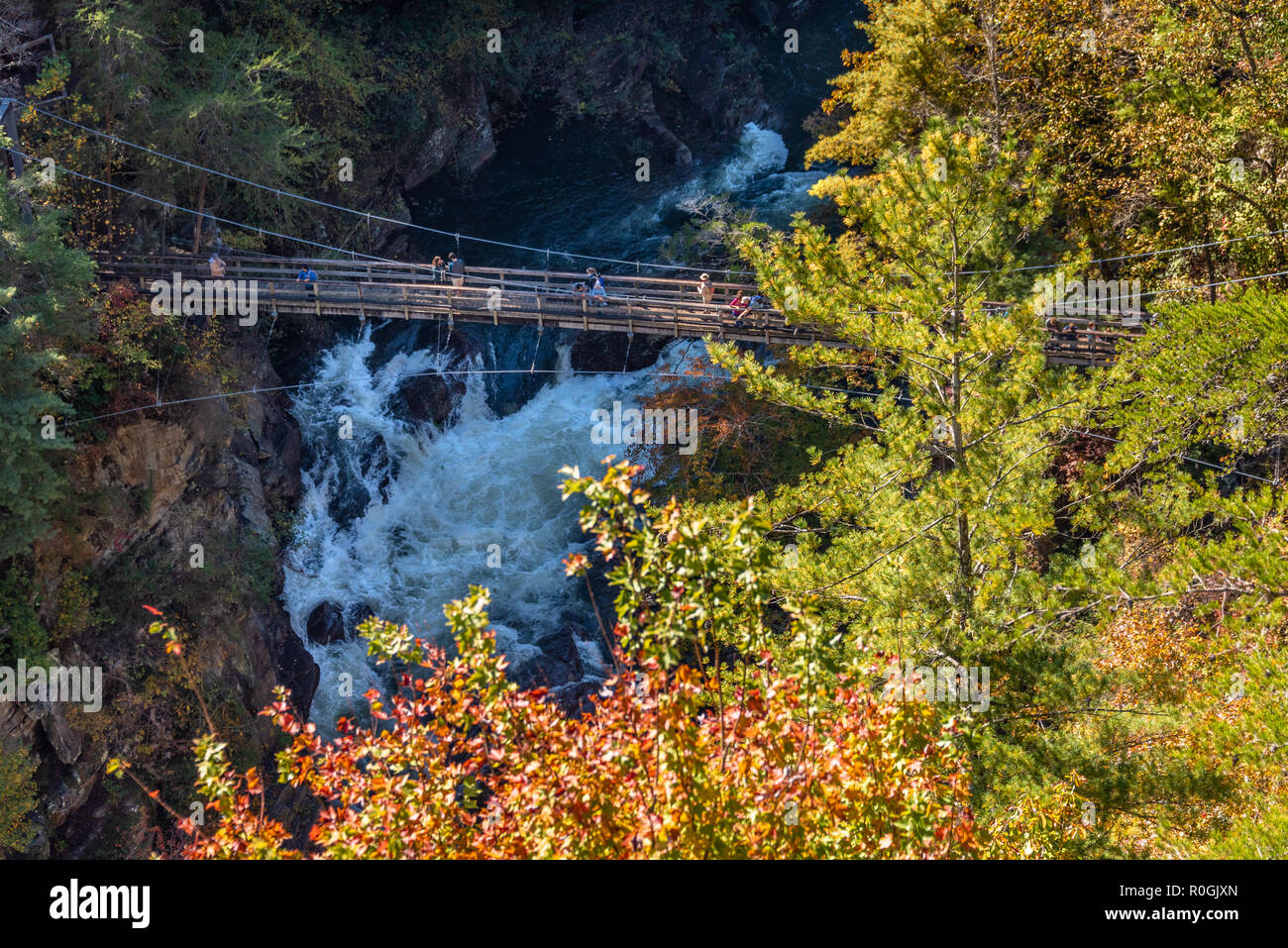 Pont suspendu au-dessus de l'ouragan tombe dans Parc national des Gorges de Tallulah dans le nord-est de la Géorgie. (USA) Banque D'Images