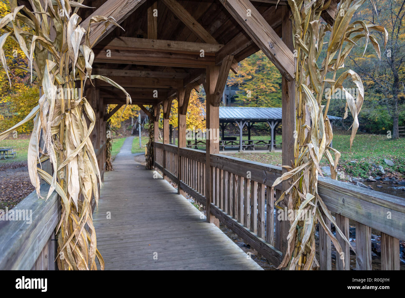 Passerelle sur le ruisseau Wolf au parc d'état de Vogel dans les Blue Ridge Mountains au nord-est de la Géorgie. (USA) Banque D'Images