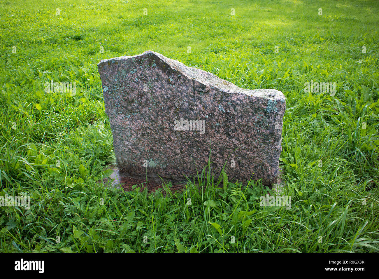 Pierre de granit blanc memorial plate au milieu de terrain d'herbe verte juteuse Banque D'Images