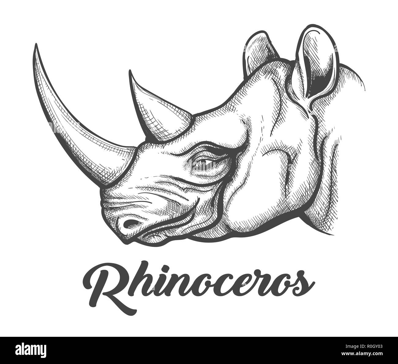 Chef de Rhinoceros tirées dans leur gravure. Vector illustration. Illustration de Vecteur