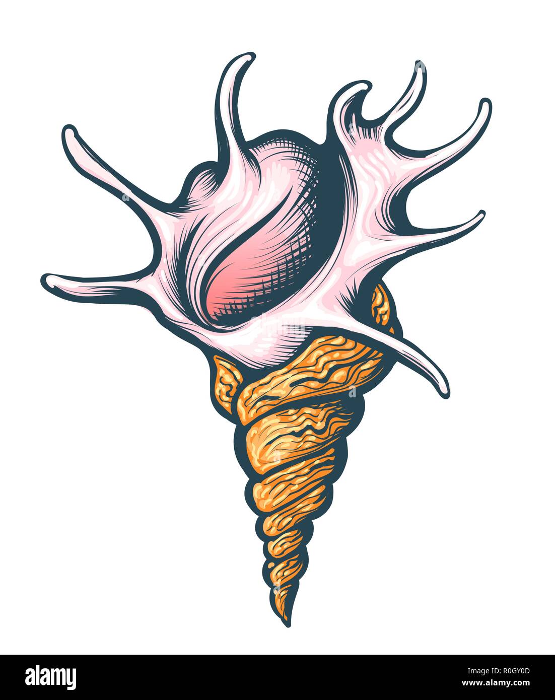 Coquillage dessiné à la main sur fond blanc. Vector illustration. Illustration de Vecteur