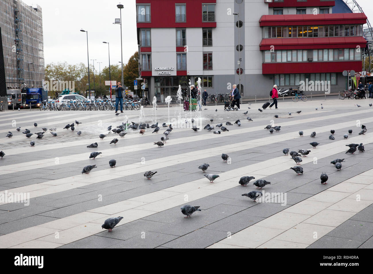 Pigeons sur le Breslauer square à la gare principale, Cologne, Allemagne. Tauben auf dem Breslauer Platz am Hauptbahnhof, Köln, Deutschland. Banque D'Images