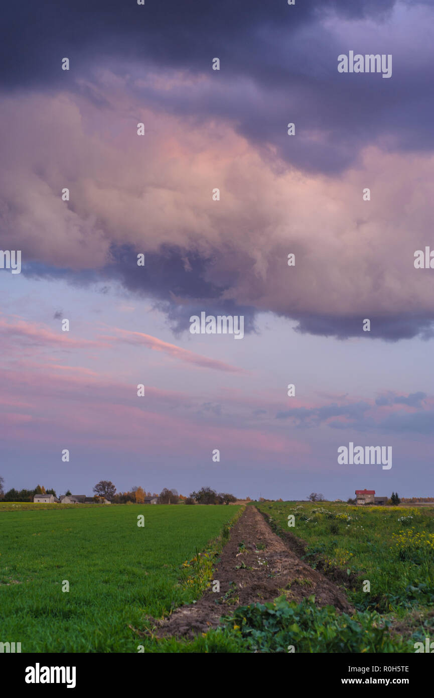 Nuages de pluie sur les champs Banque D'Images