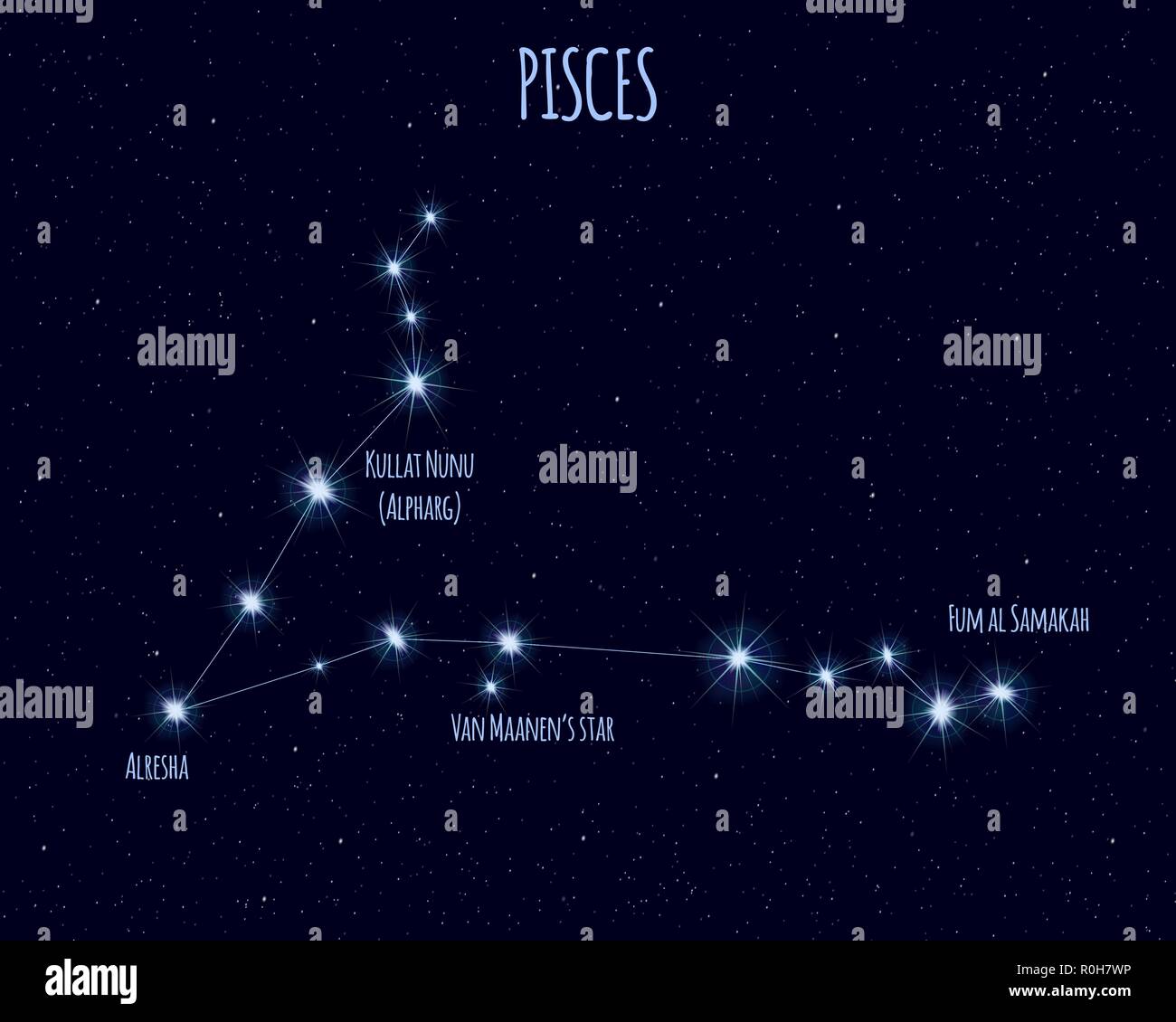 Constellation Poisson main image 1