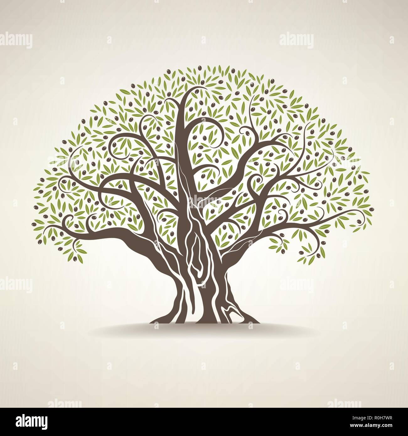 Vieil olivier sur fond clair Illustration de Vecteur