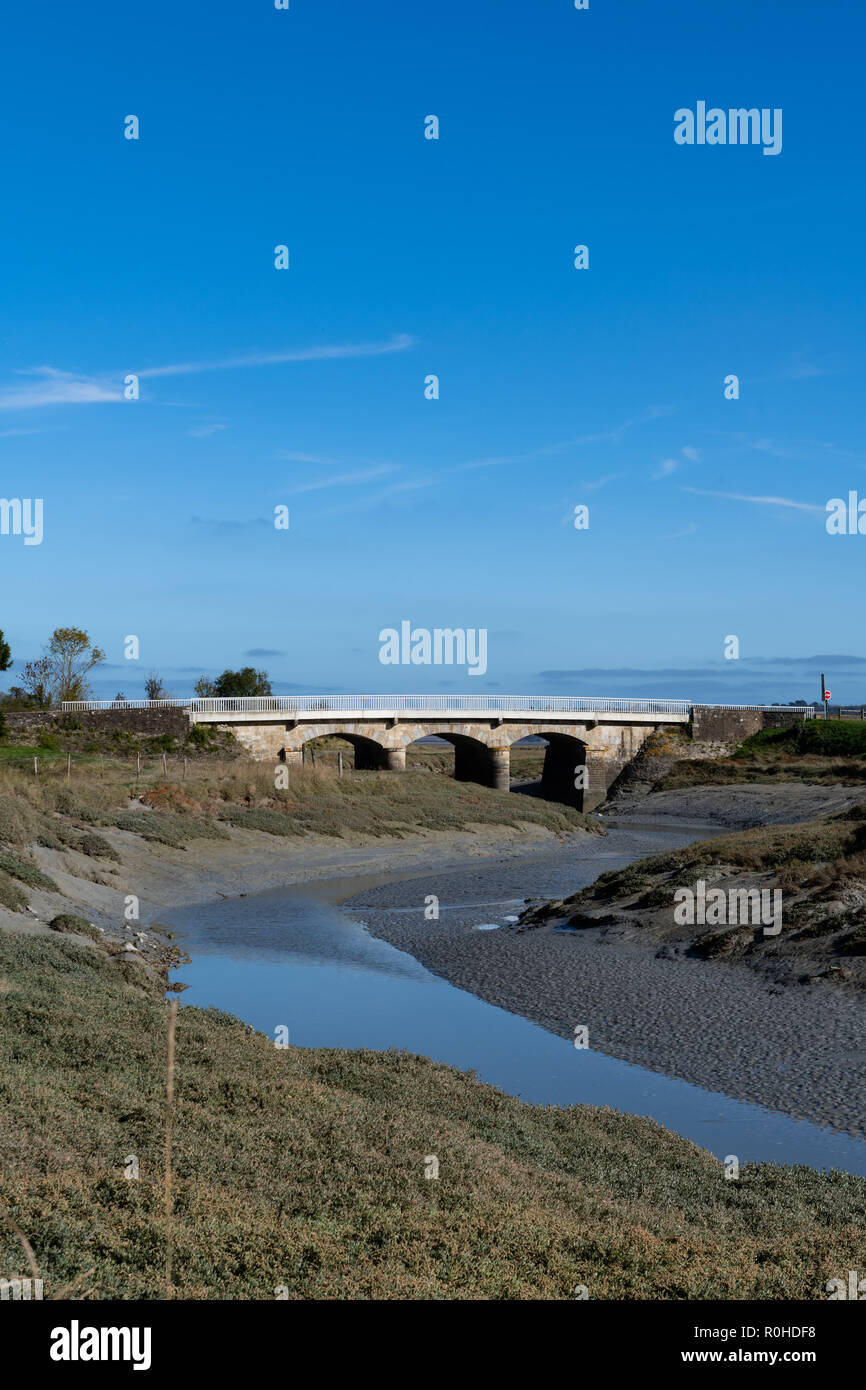 Little Creek à marée basse dans le nord de la France. Banque D'Images