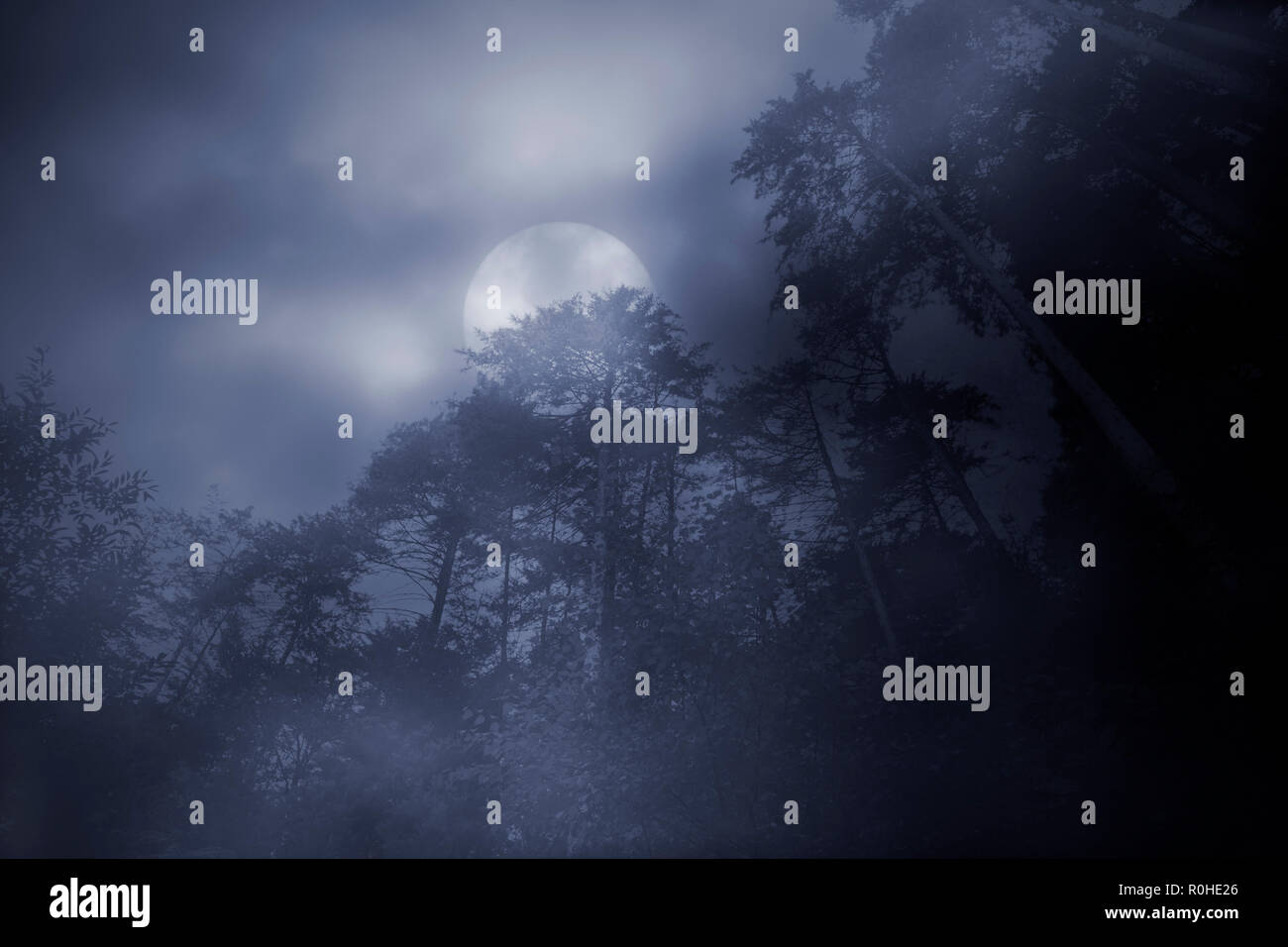 Forêt de brouillard dans un ciel couvert nuit de pleine lune Banque D'Images