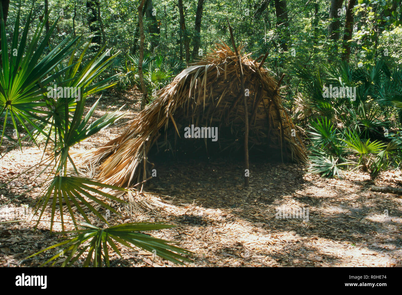 Les Timucuan abri (réplique), Fort Caroline National Memorial sur St John's River, en Floride. Photographie Banque D'Images