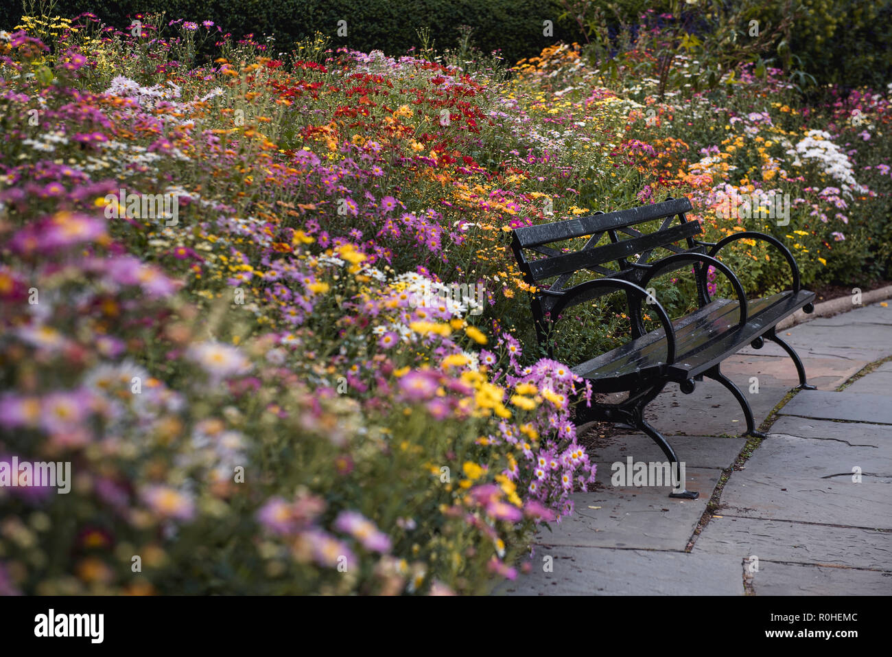 Vues d'automne du Jardin conservatoire de Central Park, à New York. Banque D'Images