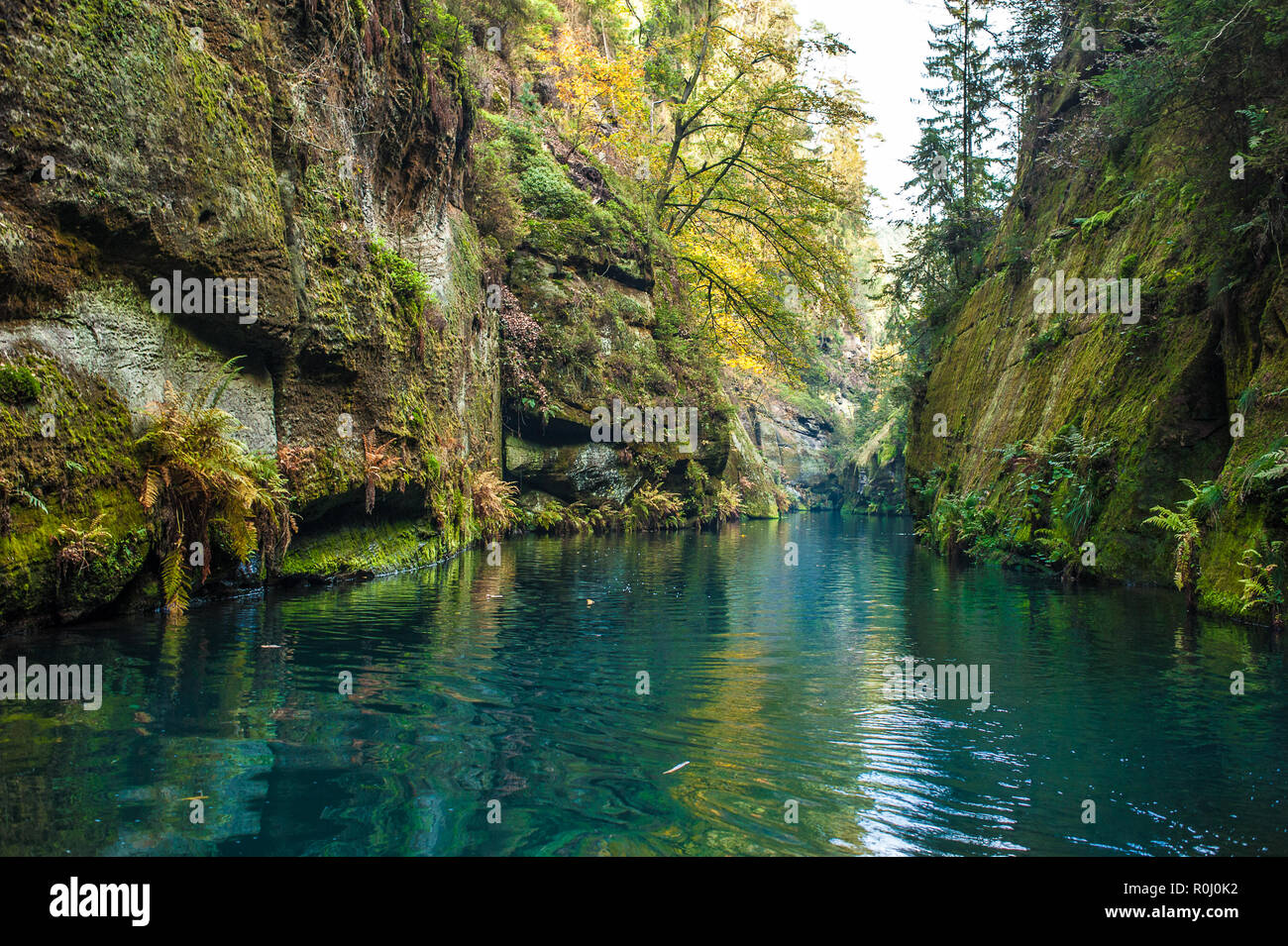 Vue pittoresque de Hrensko, situé dans le parc national de la Suisse Tchèque, République Tchèque Banque D'Images