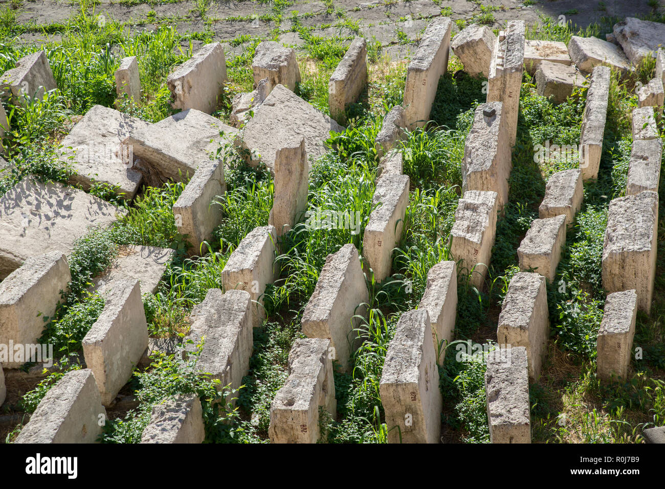 Largo di Torre Argentina, Rome, Italie Banque D'Images