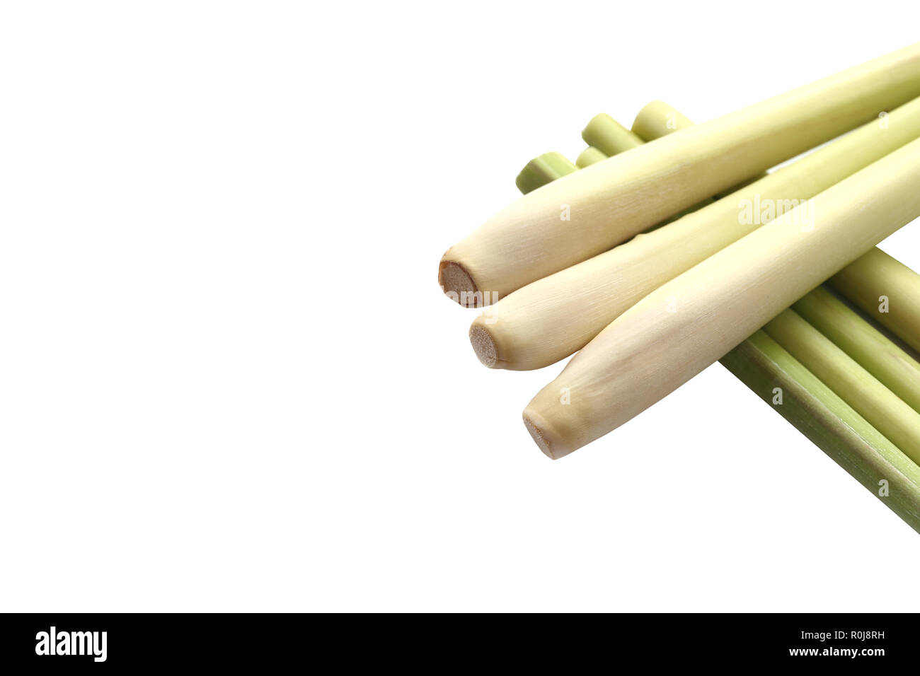 La citronnelle fraîche isolé sur fond blanc et chemins de détourage ont pour fonction de conception facile à utiliser. Banque D'Images