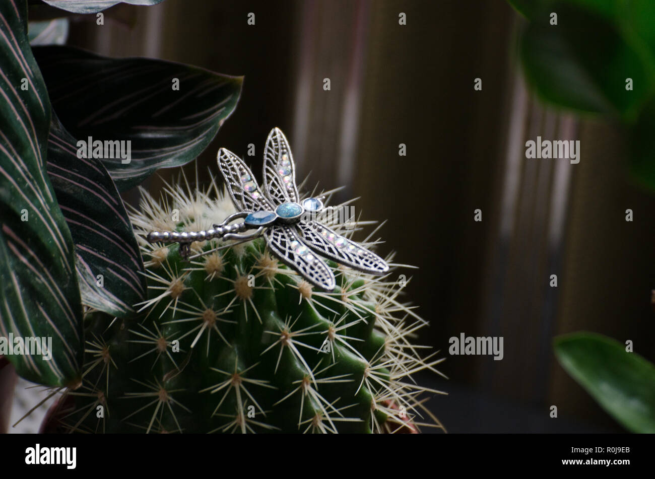 Broche libellule assis sur un cactus entre palm - bijou ancien dans un intérieur Banque D'Images